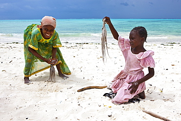 Children beating an octopus with sticks in order to make it edible, Jambiani, Zanzibar, Tanzania, Africa