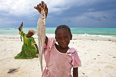 Children beating an octopus with sticks in order to make it edible, Jambiani, Zanzibar, Tanzania, Africa