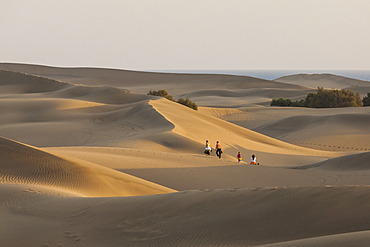 Sand dunes of Maspalomas, Gran Canaria, Canary Islands, Spain, Europe