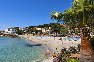 The bay and beach of Sant Elm, municipality of Andratx, Sant Elm, Mallorca, Balearic Islands, Mediterranean Sea, Spain, Europe