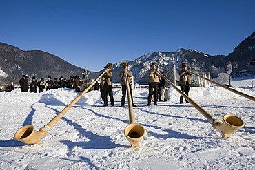 Alphorns alpenhorns in Rottach-Egern Upper Bavaria Germany