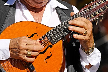 Musician with mandolin, San Bartolome de Tirajana, Tunte, Gran Canaria, Spain