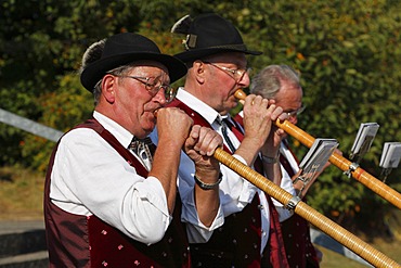 Alphorns, Weisbacher Oktoberfest festival, Rhoen, Franconia, Bavaria, Germany