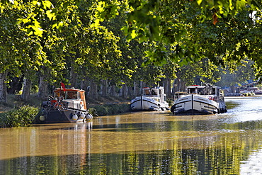 Canal du Midi near Homps, harbour with promenade and restaurants, Carcassonne, Languedoc-Roussillon, Aude, France, Europe