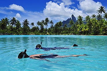 Snorkellers, St. Regis Bora Bora Resort, Bora Bora, Leeward Islands, Society Islands, French Polynesia, Pacific Ocean