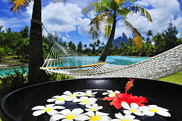 Hammock, palm trees, floral decorations, St. Regis Bora Bora Resort, Bora Bora, Leeward Islands, Society Islands, French Polynesia, Pacific Ocean