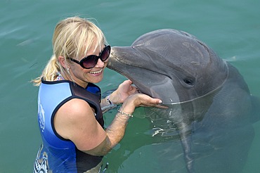 Tourist playing with a common bottlenose dolphin (Tursiops truncatus), dolphin show, Hawks Cay Resort, Florida Keys, USA