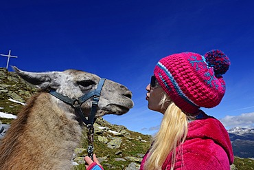 Young woman with a llama, llama tour to the summit of Boeses Weibele Mountain in the Defregger Group, Carnic Dolomites, Upper Lienz, Puster Valley, East Tyrol, Austria, Europe