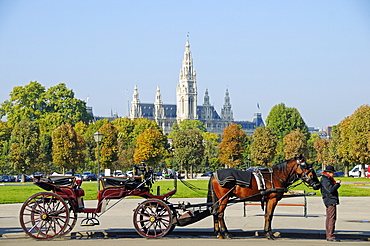 Fiaker, horse-drawn carriage with a driver in front of Vienna City Hall, Vienna, Austria, Europe