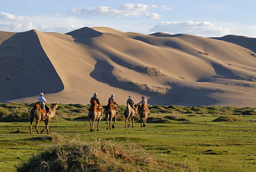 Tourists on camel riding through a lush green grass landscape towards the great Khorgoryn Els sand dunes in the Gobi Desert, Gurvan Saikhan National Park, Oemnoegov Aimak, Mongolia, Asia