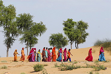 Ram Devra pilgrims, Ramdevra, Thar desert, in Pokaran, Pokhran, Rajasthan, India, Asia