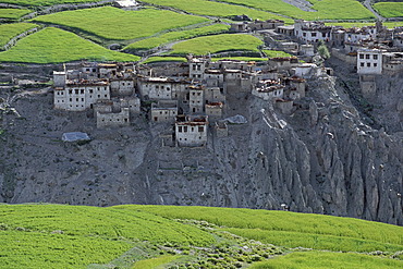 Photaksar village and fields, Zanskar, Ladakh, Indian Himalayas, Jammu and Kashmir, northern India, India, Asia