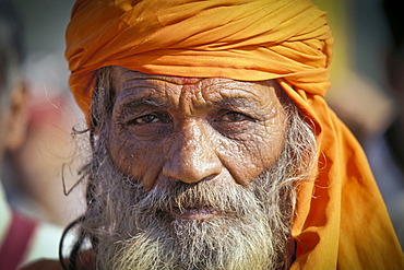 Sadhu, portrait, Kumbh Mela or Kumbha, Haridwar, Uttarakhand, formerly Uttaranchal, Indian Himalayas, North India, India, Asia