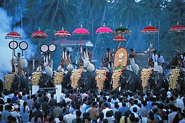 Elephant parade, near Sree Sastha Temple, Arattupuzha Pooram festival, near Thrissur, Kerala, South India, India, Asia