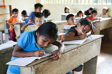 Pupils learning to write in a primary school in a village with no road access in the Oriente rain forest, Curaray, Ecuador, South America