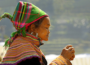 Profile of old Vietnamese woman in front of rice terraces, Bac Ha, North Vietnam, Southeast Asia