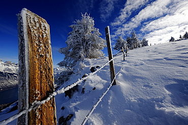 Fence in winter landscape, Firtzstock, Glarus, Eastern Switzerland, Switzerland, Europe