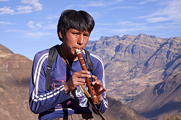 Flute player at the Inca ruins near Pisac, Andean highlands, Peru, South America