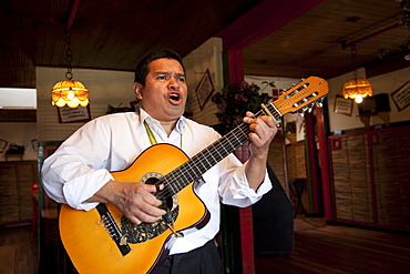 Singer playing a guitar in a restaurant, Bogota, Colombia, South America