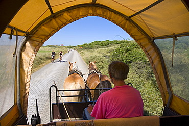 Horse-drawn carriage driving on Juist Island, car-free zone, East Frisian Islands, East Frisia, Lower Saxony, Germany, Europe