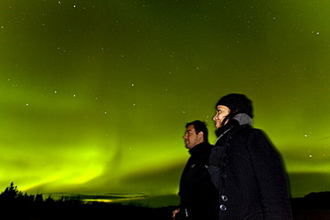 Couple, woman and man, watching swirling Northern lights, Polar Aurorae, Aurora Borealis, green, near Whitehorse, Yukon Territory, Canada