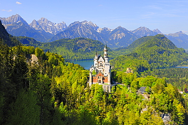 Schloss Neuschwanstein Castle, near Fuessen, Ostallgaeu, Allgaeu, Bavaria, Germany, Europe