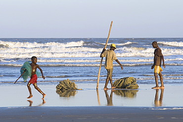 Fishermen are bundling up a fishing net, beach north of Quelimane, Mozambique, Africa