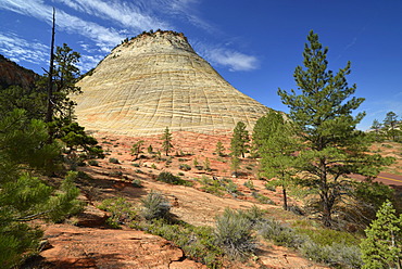 Checkerboard Mesa Table Mountain, Zion National Park, Utah, United States of America, USA