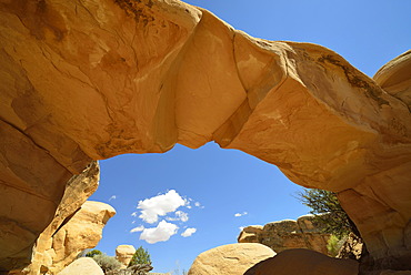 "Metate Arch", natural arch, Devil's Garden, eroded hoodoos and Entrada Sandstone rock formations, Goblins, Hole-In-The-Rock-Road, Grand Staircase-Escalante National Monument, GSENM, Utah, Southwestern USA, USA