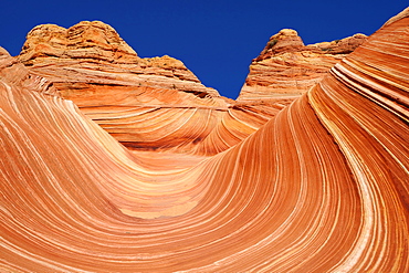 The Wave, banded eroded Navajo sandstone rocks with Liesegang bands or Liesegang rings, North Coyote Buttes, CBN, Pareah Paria Canyon, Vermilion Cliffs National Monument, Arizona, Utah, Southwestern USA, USA