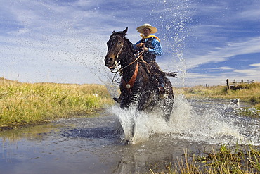 Cowboy riding in water, wildwest, Oregon, USA