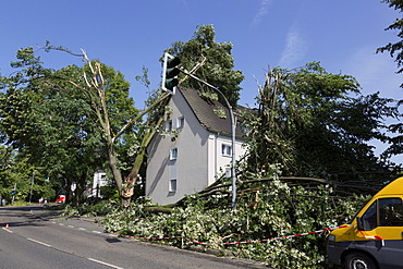 Uprooted trees have damaged a house, storm damage from 9 June 2014, MÃ¼lheim an der Ruhr, Ruhr Area, North Rhine-Westphalia, Germany, Europe