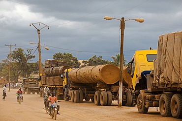 Trucks loaded with tropical timber from Congo on the main road, Yokadouma, East Region, Cameroon, Africa