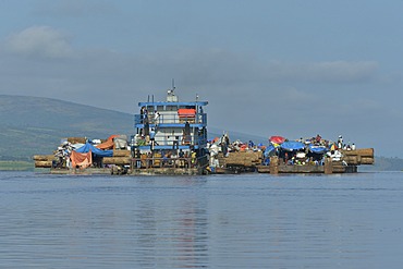 Freighter transporting logs of tropical timber on the Congo River, near Kinshasa, Kinshasa District, Democratic Republic of the Congo