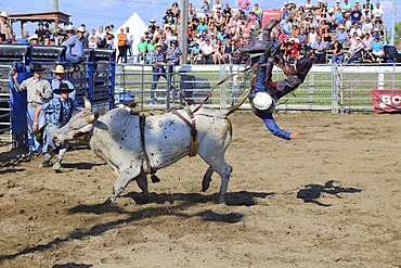 Rodeo, bull riding, Valleyfield, Quebec Province, Canada, North America