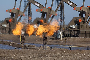 Natural gas is flared off as oil is pumped in the Bakken shale formation; the gas is burned because no pipelines have been built to transport it to market, Watford City, North Dakota, United States, North America