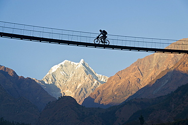 Cyclist crossing a suspension Bridge over Kali Ghandaki Valley, Nilgiri Mountain in the back, Tatopani, Annapurna Region, Nepal, Asia