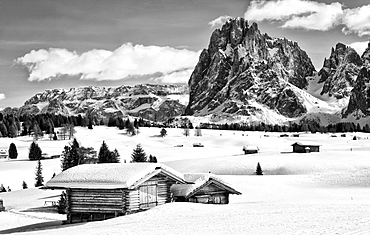 Black and white image of the winter landscape of the Dolomites with a wooden hut at the front and the peak of Sassolungo Mountain at the rear, Seiser Alm, Dolomites, Alto Adige, Italy, Europe