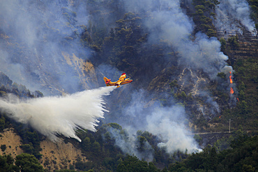 Fire extinction, firefighting aircraft Canadair CL 415, French SÃ©curitÃ© Civile, dropping seawater, large-scale forest fire in Castellar, Maritime Alps