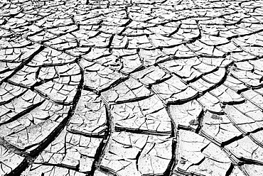 Cracked mud in a dried up water hole, Painted Desert, Hopi Reservation, Navajo Nation Reservation, Arizona, Southwest, United States of America, USA, North America