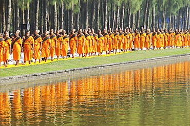 Monks next to pine forest, reflection, Thudong or Dhutanga, Wat Phra Dhammakaya, Khlong Luang District, Pathum Thani, Bangkok, Thailand, Asia