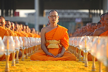 Monks sitting in a row meditating, Wat Phra Dhammakaya Temple, Khlong Luang District, Pathum Thani, Bangkok, Thailand, Asia