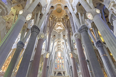 Interior view of the Sagrada Familia by Antoni Gaudi, Barcelona, Catalonia, Spain, Europe