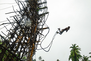 Land diving, Naghol ceremony in the village of Rangsuksuk, Island of Pentecost, Vanuatu, South Sea, Oceania