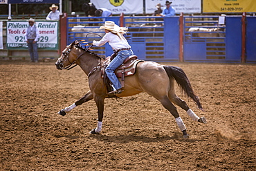 Cowgirl in barrel racing, Philomath Rodeo, Oregon, USA, North America