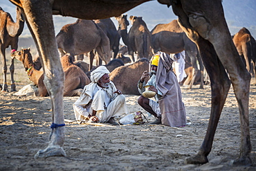 Two men having a drink, Pushkar Camel Fair, Pushkar, Rajasthan, India, Asia