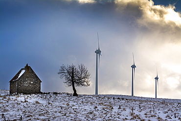 Wind turbines of the Cezallier windfarm, Puy de Dome department, Auvergne, France, Europe