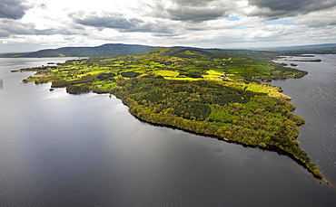 Headland, peninsula Ogonnelloe, Lakelands, Lough Derg Lake, River Shannon, County Clare, Ireland, Europe