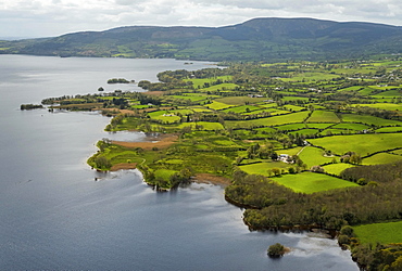 Headland, peninsula Ogonnelloe, Lakelands, Lough Derg Lake, River Shannon, County Clare, Ireland, Europe