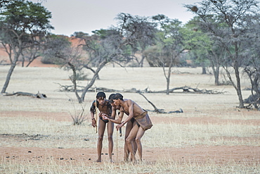 Kung Bushmen are following an animal trail, Zebra Lodge, Hardap Region, Namibia!